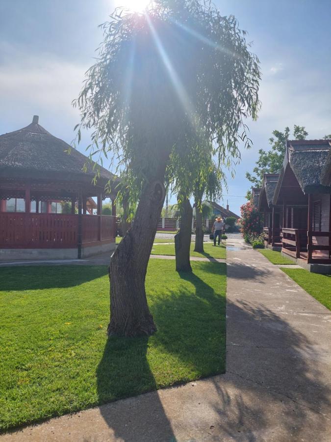 Pensiunea La Tavi 무리기올 외부 사진